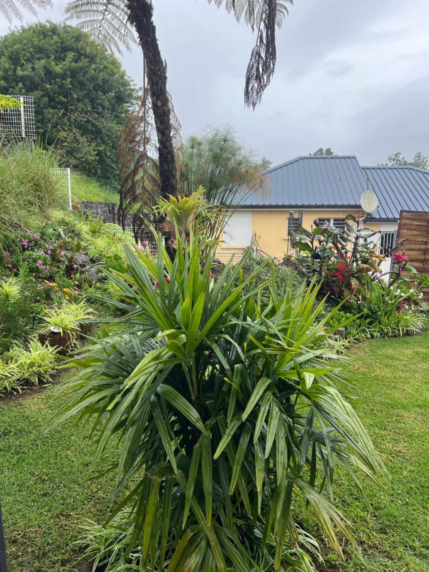 Villa, Lossy 勒唐蓬 外观 照片